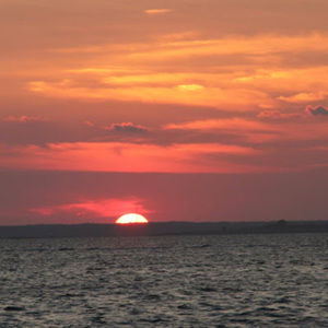 Meet your Posher, Chloe